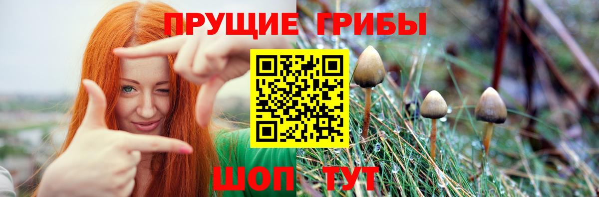 Галлюциногенные грибы GOLDEN TEACHER Киржач